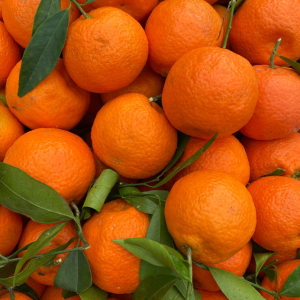 Griekse groente en fruit – Griekse mandarijnen