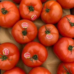 Griekse groente en fruit – Griekse tomaten