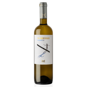 Vs Narcissus malagousia, 750 ml